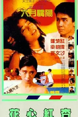 欧美精品一区二区三区在线